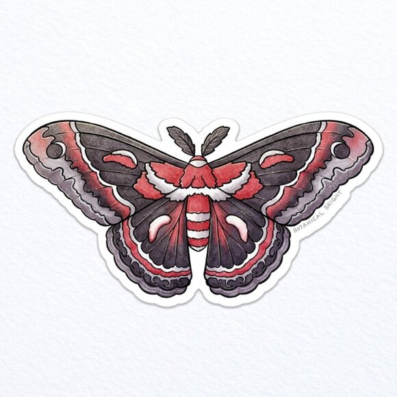 3 for $15 - Cecropia Moth Sticker -‎ Waterproof Vinyl Insect & Nature Decal - Picture 2 of 6